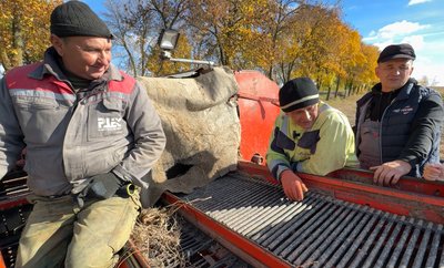 На Волині завершують збір картоплі: скільки коштує кілограм на ринках