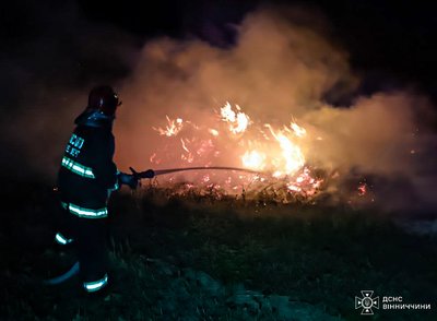 Загоряння сухої трави: на Вінниччині за добу ліквідували 62 пожежі Загоряння сухої трави: на Вінниччині за добу ліквідували 62 пожежі