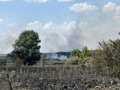 На Полтавщині внаслідок пожежі згорів сінник та постраждала людина На Полтавщині внаслідок пожежі згорів сінник та постраждала людина