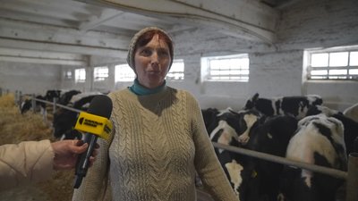 "За день отримуємо близько 4 тонн молока": як працює племінне господарство на Сумщині "За день отримуємо близько 4 тонн молока": як працює племінне господарство на Сумщині