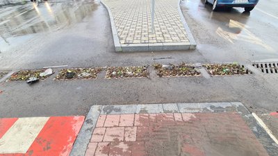 Підтоплені вулиці та вода у будинку: які наслідки негоди у Чернівцях Підтоплені вулиці та вода у будинку: які наслідки негоди у Чернівцях