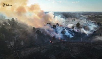 За два дні на Київщині виникли понад 130 пожеж в екосистемах