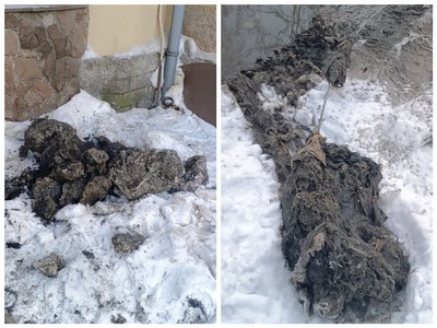 жир, каналізація жир, каналізація