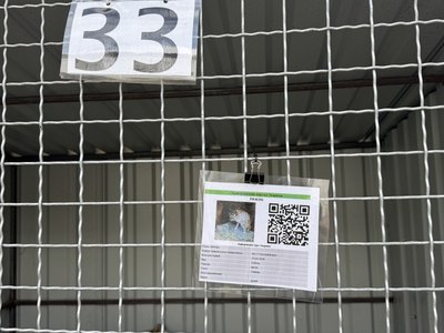 Безпритульні коти та собаки у родинах: як працює програма адопції у Полтаві