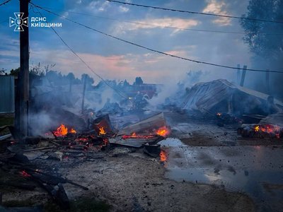 На Київщині сталася пожежа у притулку «Сіріус»: загинули 8 собак На Київщині сталася пожежа у притулку «Сіріус»: загинули 8 собак