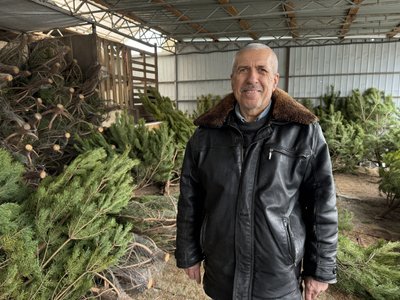 Херсон, ялинки, Новий рік, свята, Різдво, ринок Херсон, ялинки, Новий рік, свята, Різдво, ринок