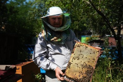 "Качаємо відро меду з вулика". Яким був початок медозбору на Сумщині "Качаємо відро меду з вулика". Яким був початок медозбору на Сумщині