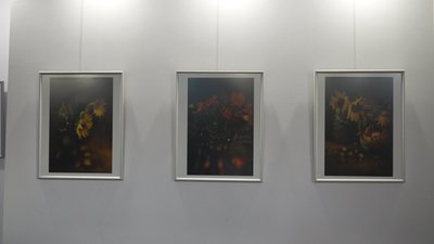 Фотографії як картини: Наталія Некрасова презентувала у Сумах роботи в пікторіальному стилі Фотографії як картини: Наталія Некрасова презентувала у Сумах роботи в пікторіальному стилі