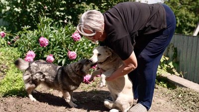 Пуля з Шкодою, Надія Клюшник, тварини, 9 червня 2026, Тернопіль Пуля з Шкодою, Надія Клюшник, тварини, 9 червня 2026, Тернопіль