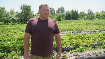 Дмитро Соловей з Хмельниччини посадив перші кущі полуниці 2009 року Дмитро Соловей з Хмельниччини посадив перші кущі полуниці 2009 року