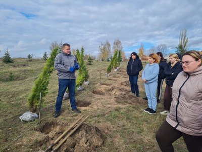 У громаді на Житомирщині в пам'ять про полеглих воїнів висадили туї У громаді на Житомирщині в пам'ять про полеглих воїнів висадили туї