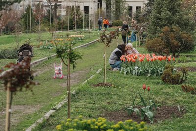 Ботанічний сад Харків Ботанічний сад Харків