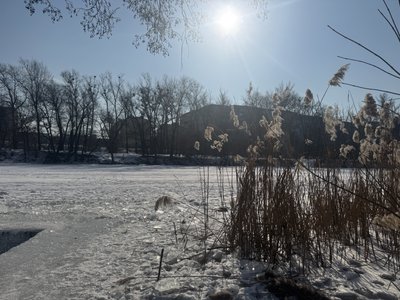 “Знімає стрес від нічних атак”: як сум'яни купаються у крижаній воді “Знімає стрес від нічних атак”: як сум'яни купаються у крижаній воді