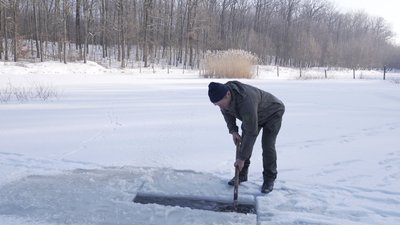 Підгодівля диких тварин на Вінниччині: як лісівники допомагають фауні взимку Підгодівля диких тварин на Вінниччині: як лісівники допомагають фауні взимку