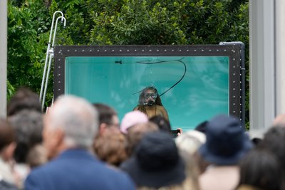 Австрійській павільйон на Венеційській бієнале Австрійській павільйон на Венеційській бієнале