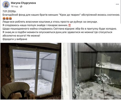 12 слідів від куль: невідомі обстріляли притулок для тварин на Черкащині 12 слідів від куль: невідомі обстріляли притулок для тварин на Черкащині