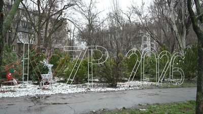 Ялинкові базари в Запоріжжі: який асортимент та ціни Ялинкові базари в Запоріжжі: який асортимент та ціни