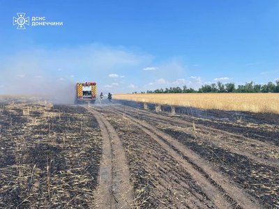 "Навмисно знищують поля із пшеницею": армія РФ спалює стиглі лани на Донеччині "Навмисно знищують поля із пшеницею": армія РФ спалює стиглі лани на Донеччині