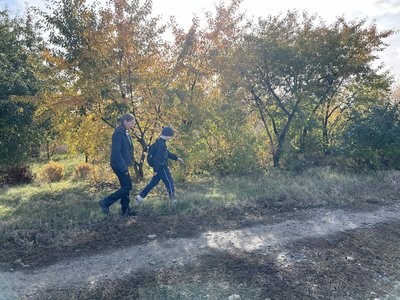 У Коломацькій громаді через погану дорогу автобус не забирає 6-класника