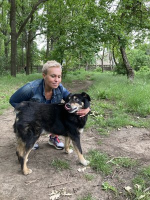 Врятовані після підриву ГЕС: у Одесі шукають родини для собак із Херсона Врятовані після підриву ГЕС: у Одесі шукають родини для собак із Херсона