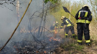 У заказнику "Гнідавське болото" в Луцьку сталася пожежа. Що відомо У заказнику "Гнідавське болото" в Луцьку сталася пожежа. Що відомо