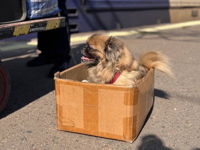 17 переселенців прибули з Донеччини десятим евакуаційним потягом на Рівненщину 17 переселенців прибули з Донеччини десятим евакуаційним потягом на Рівненщину