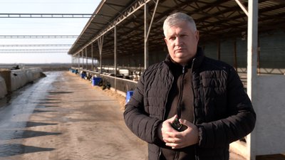 Стадо — "під ніж": ферма на Черкащині опинилася під загрозою закриття Стадо — "під ніж": ферма на Черкащині опинилася під загрозою закриття