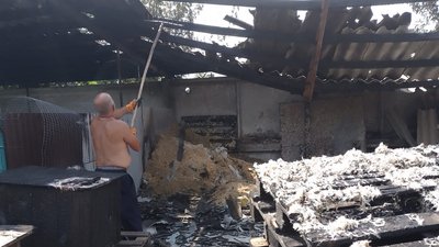 У Ніжині горів притулок для тварин, де утримують близько 90 собак У Ніжині горів притулок для тварин, де утримують близько 90 собак