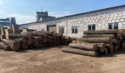 зрубані дерева, колоди зрубані дерева, колоди