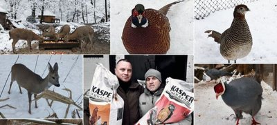 Київський зоопарк передав Національному парку Межигір'я сухий корм для тварин Київський зоопарк передав Національному парку Межигір'я сухий корм для тварин