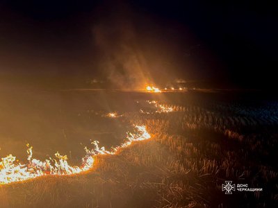 Згоріли понад 11 гектарів: на Черкащині виникло 11 пожеж сухої рослинності