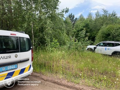 Порубку дерев на майже 420 тис. грн виявили у селі на Рівненщині Порубку дерев на майже 420 тис. грн виявили у селі на Рівненщині