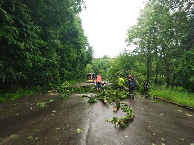 Наслідки негоди у Львові Наслідки негоди у Львові