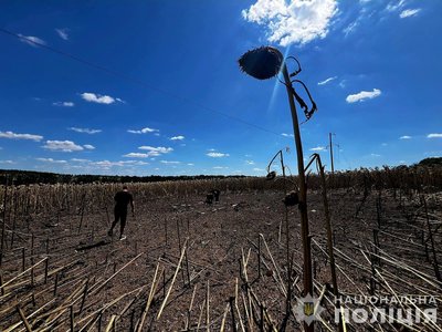 У соняшниковому полі на Вінниччині знайшли уламки БпЛА У соняшниковому полі на Вінниччині знайшли уламки БпЛА