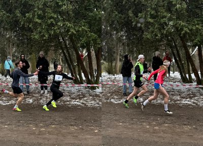 Хто переміг на чемпіонаті України з кросу в Луцьку
