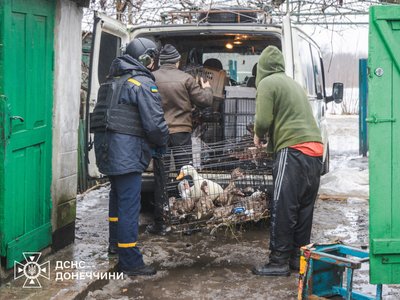 З села Новокриворіжжя на Донеччині евакуювали останню жительку