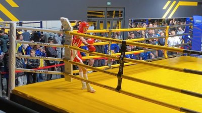 олександра черевата, бокс, чемпіонка, ринг олександра черевата, бокс, чемпіонка, ринг