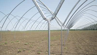 На Вінниччині будують теплицю для вирощування суниці за програмою "єРобота" На Вінниччині будують теплицю для вирощування суниці за програмою "єРобота"