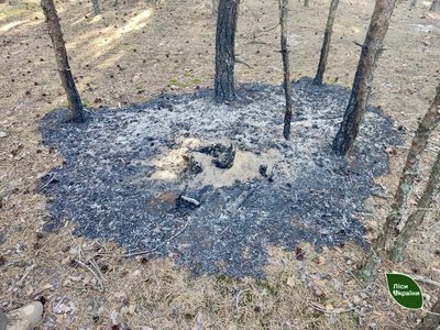 ліс пожежа ліс пожежа