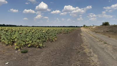 зниження цін зниження цін
