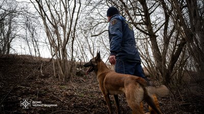 На Чернігівщини у заростях очерету рятувальники виявили тіло чоловіка, якого шукали дві доби На Чернігівщини у заростях очерету рятувальники виявили тіло чоловіка, якого шукали дві доби