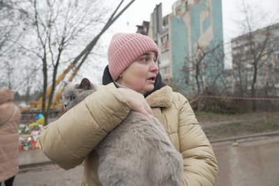 У Тернополі з будинку на Стуса витягли кота У Тернополі з будинку на Стуса витягли кота
