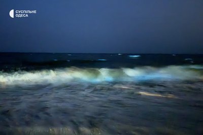Чому море в Одесі почало світитись яскраво-блакитним кольором: коментар морського біолога Чому море в Одесі почало світитись яскраво-блакитним кольором: коментар морського біолога