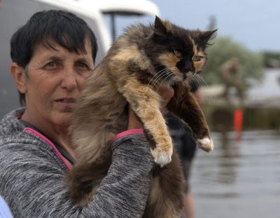 Евакуація, психологічна підтримка та відновлення: як допомагають громадам Миколаївщини та Херсонщини Евакуація, психологічна підтримка та відновлення: як допомагають громадам Миколаївщини та Херсонщини