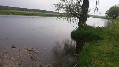 "Абсолютно закохалась в дослідження Черкащини": інтервʼю з екологинею Наталею Ярошенко "Абсолютно закохалась в дослідження Черкащини": інтервʼю з екологинею Наталею Ярошенко