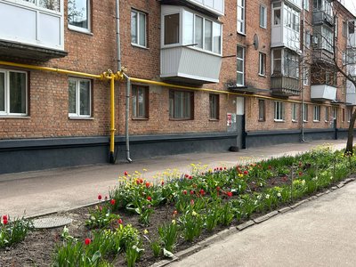 "Навесні я витрачаю пенсію на квіти" — житомирянка Світлана "Навесні я витрачаю пенсію на квіти" — житомирянка Світлана