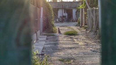 "Достатньо просто бути українцем". Як РФ вилучає майно, називаючи це "націоналізацією"