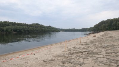 Сім тонн мертвої риби зібрали за два дні у річці Десна у Чернігові Сім тонн мертвої риби зібрали за два дні у річці Десна у Чернігові