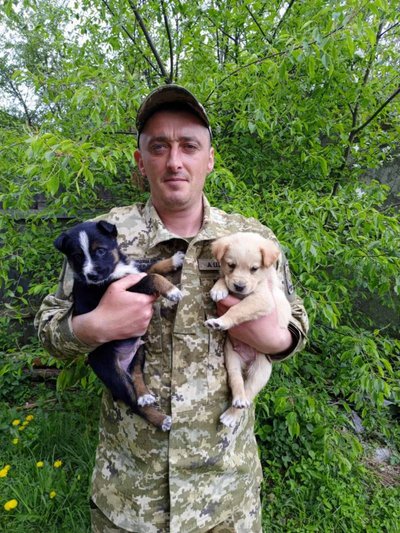 Юрій Ярощак з песиками Юрій Ярощак з песиками