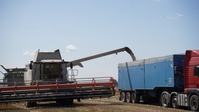 На Чернігівщині завершується збір врожаю ранніх зернових: скільки засіяли та скільки вдалося зібрати На Чернігівщині завершується збір врожаю ранніх зернових: скільки засіяли та скільки вдалося зібрати
